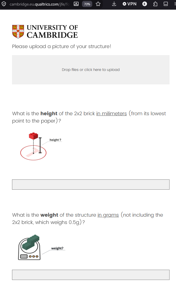 LEGO Workshop Form